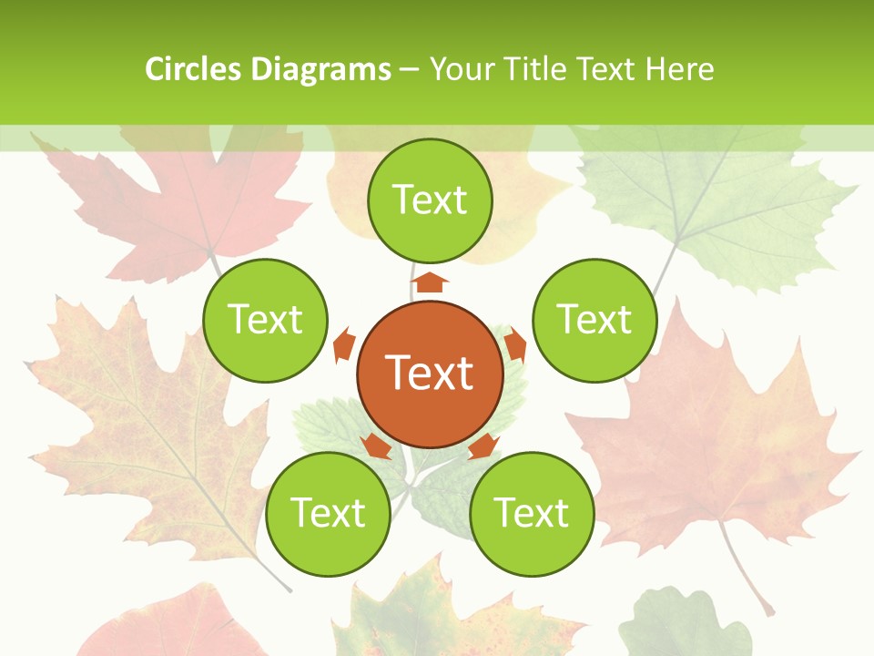 Flora Isolated Summer PowerPoint Template