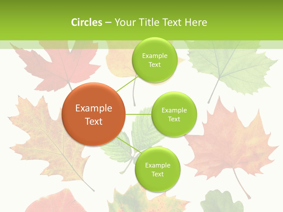 Flora Isolated Summer PowerPoint Template