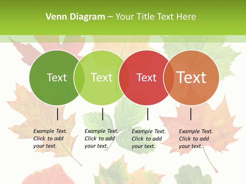 Flora Isolated Summer PowerPoint Template
