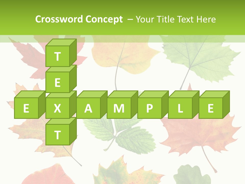 Flora Isolated Summer PowerPoint Template