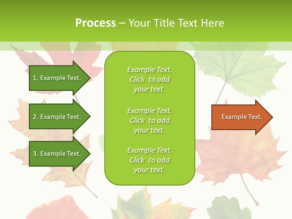 Flora Isolated Summer PowerPoint Template