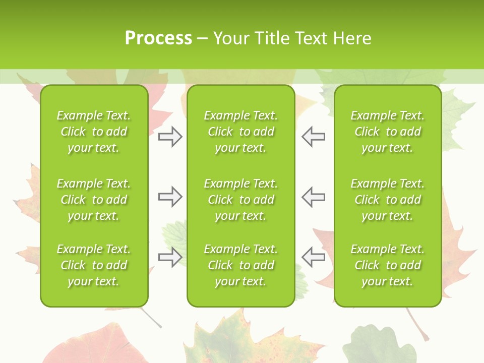 Flora Isolated Summer PowerPoint Template