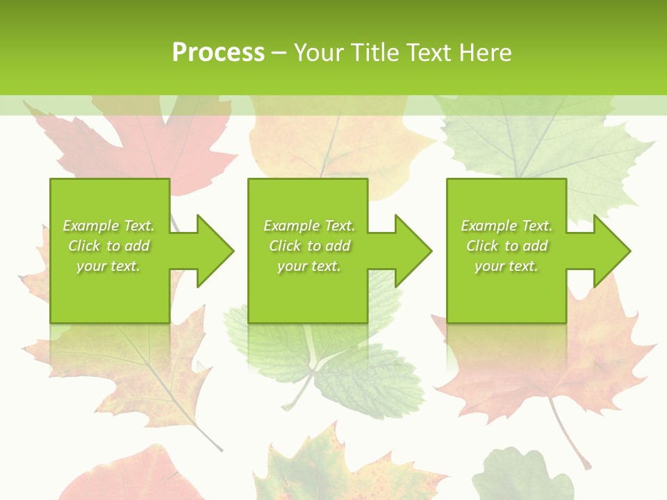 Flora Isolated Summer PowerPoint Template