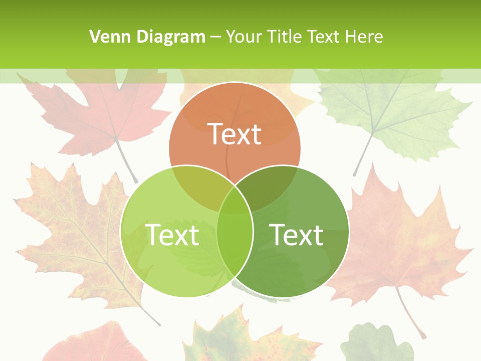 Flora Isolated Summer PowerPoint Template