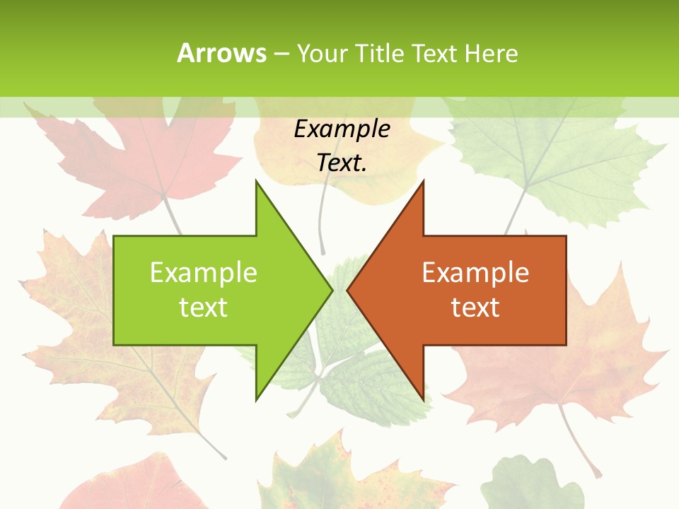 Flora Isolated Summer PowerPoint Template