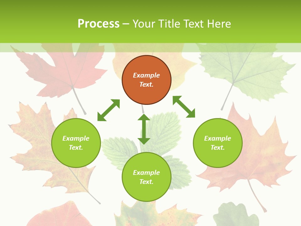 Flora Isolated Summer PowerPoint Template