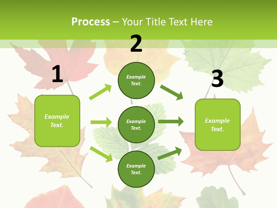 Flora Isolated Summer PowerPoint Template