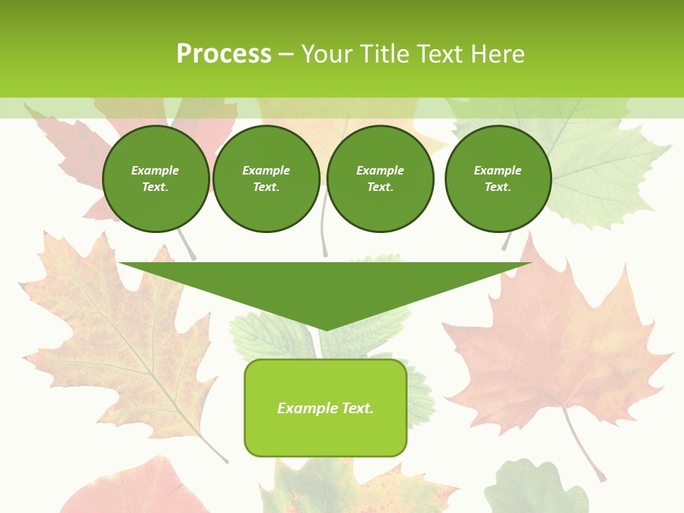 Flora Isolated Summer PowerPoint Template