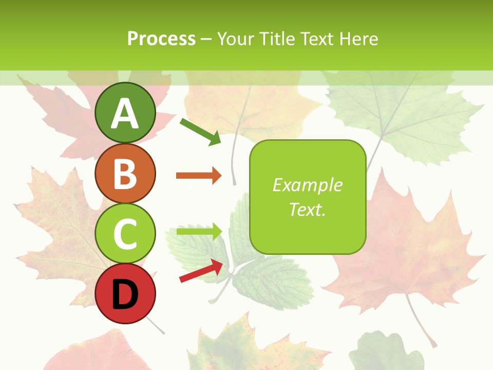 Flora Isolated Summer PowerPoint Template