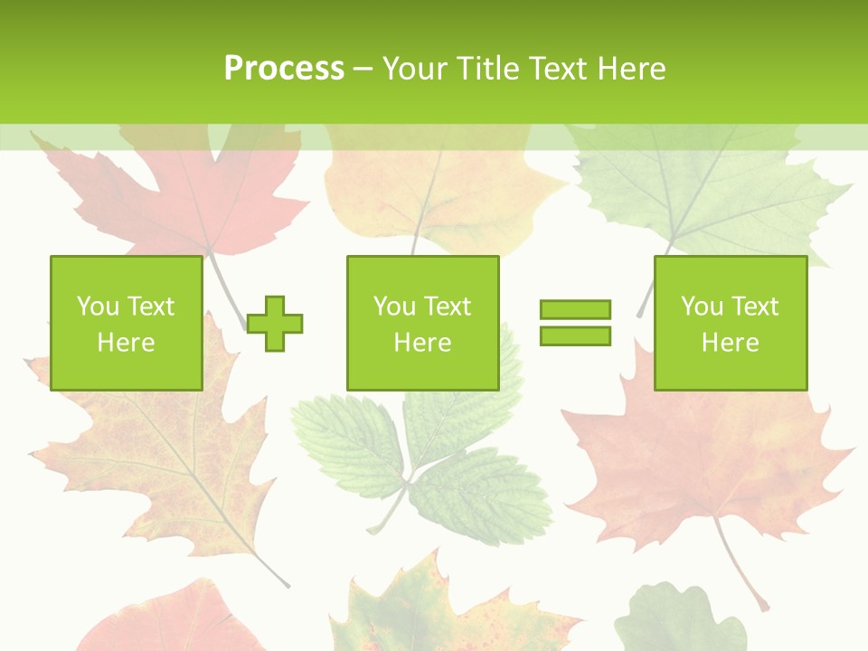 Flora Isolated Summer PowerPoint Template