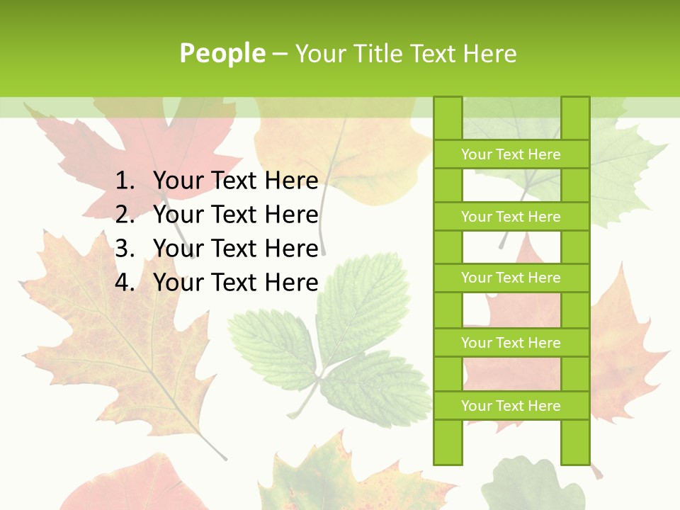 Flora Isolated Summer PowerPoint Template