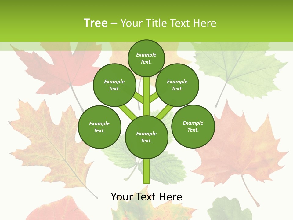 Flora Isolated Summer PowerPoint Template