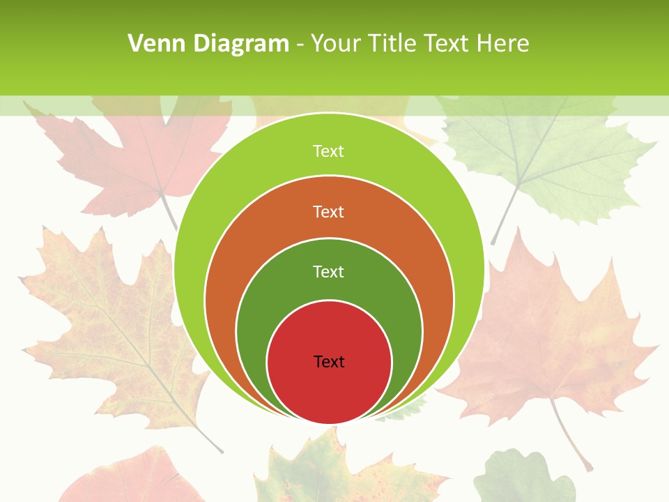 Flora Isolated Summer PowerPoint Template