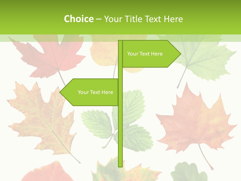 Flora Isolated Summer PowerPoint Template