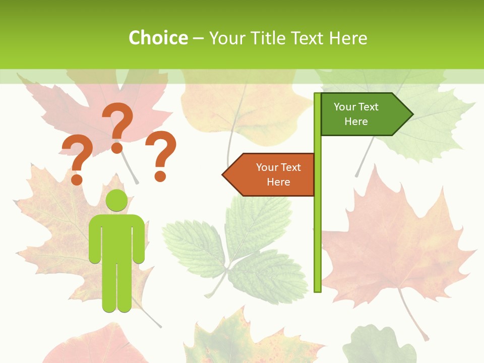 Flora Isolated Summer PowerPoint Template