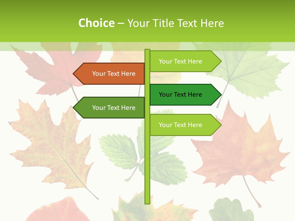 Flora Isolated Summer PowerPoint Template