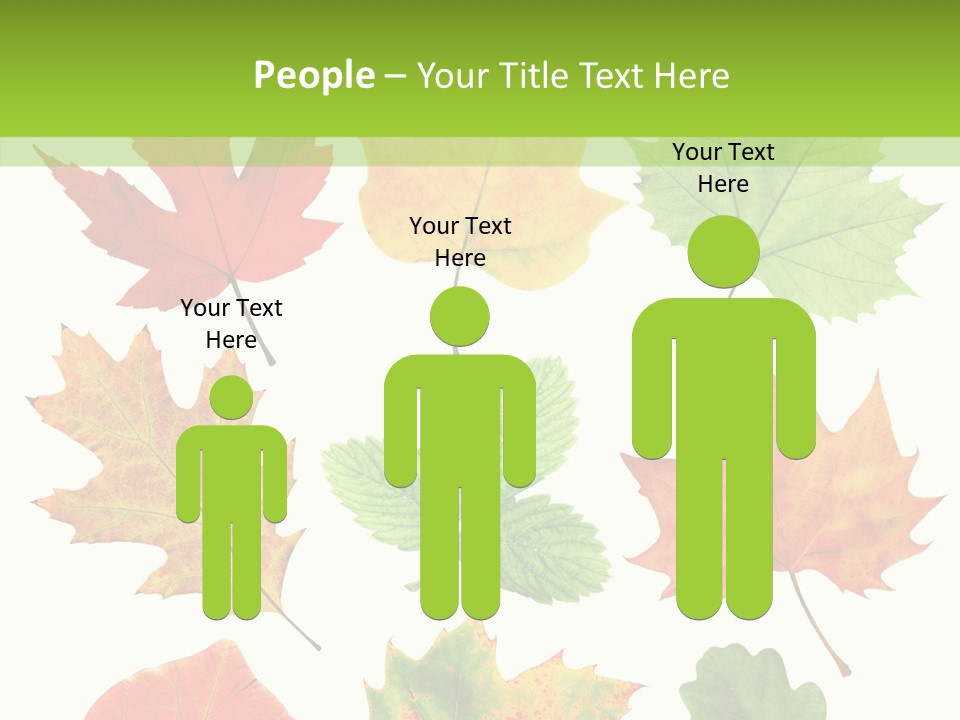 Flora Isolated Summer PowerPoint Template