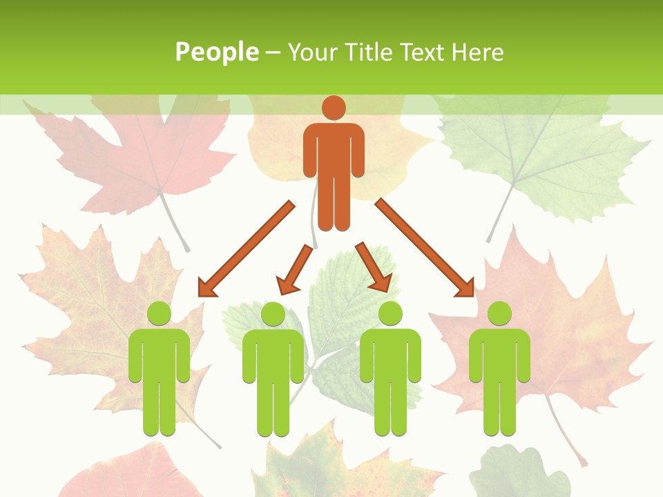 Flora Isolated Summer PowerPoint Template