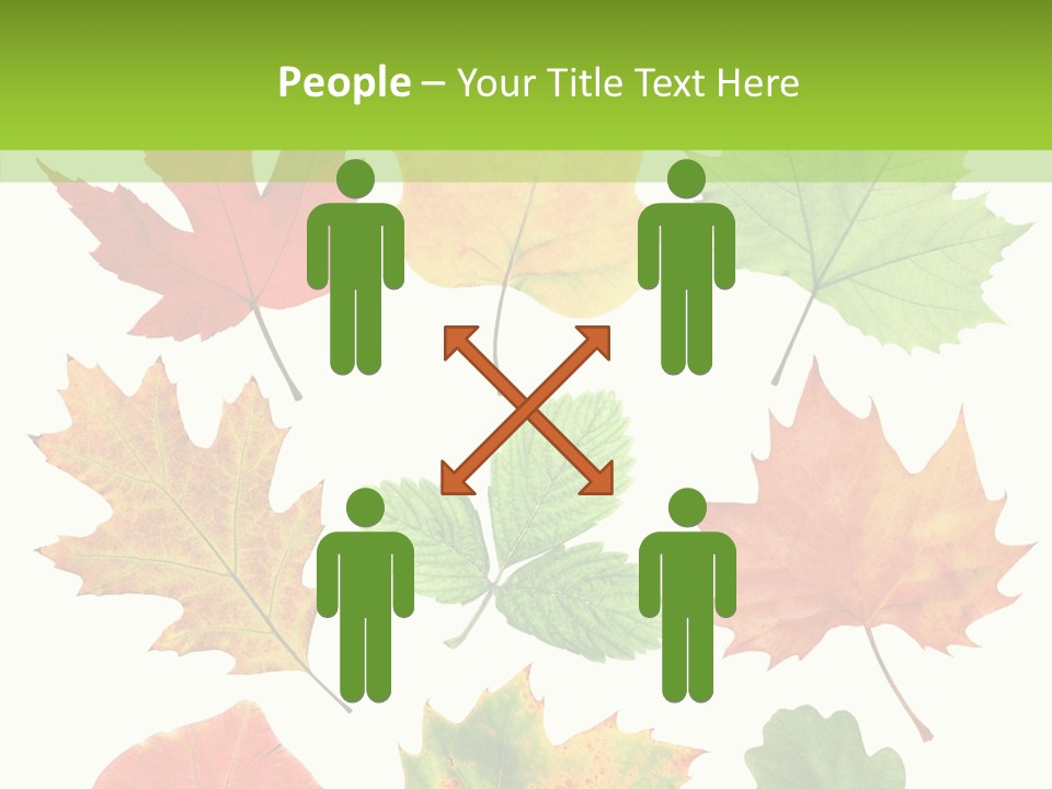 Flora Isolated Summer PowerPoint Template