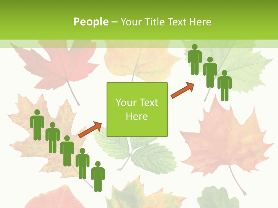 Flora Isolated Summer PowerPoint Template