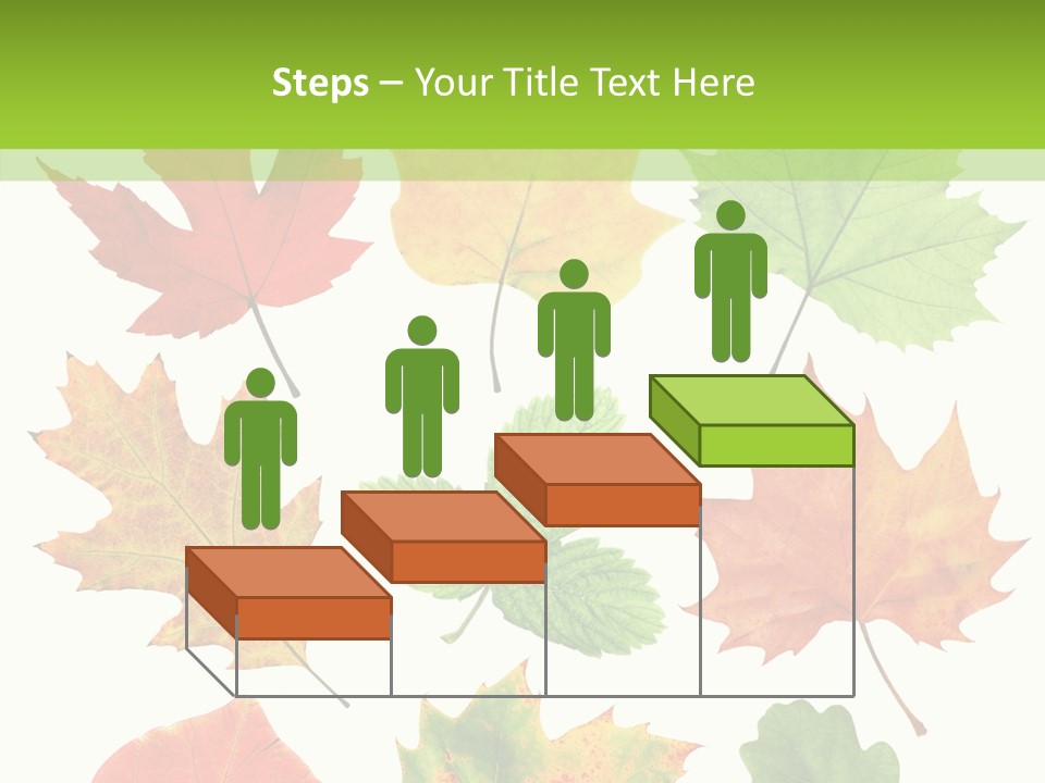 Flora Isolated Summer PowerPoint Template