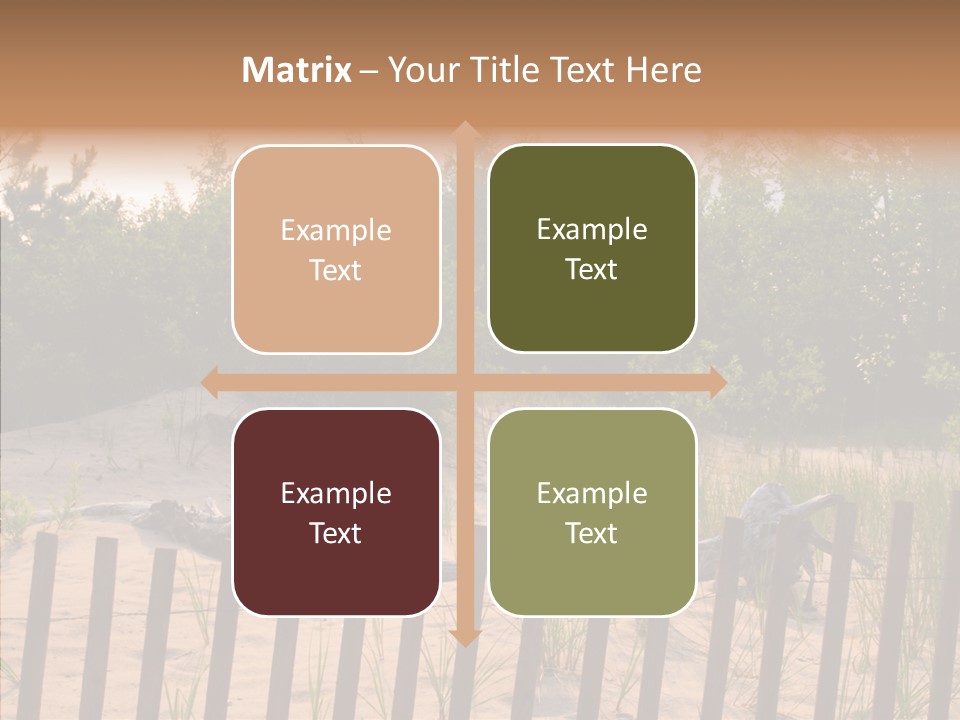 Lauderdale Tanning Beachwalk PowerPoint Template