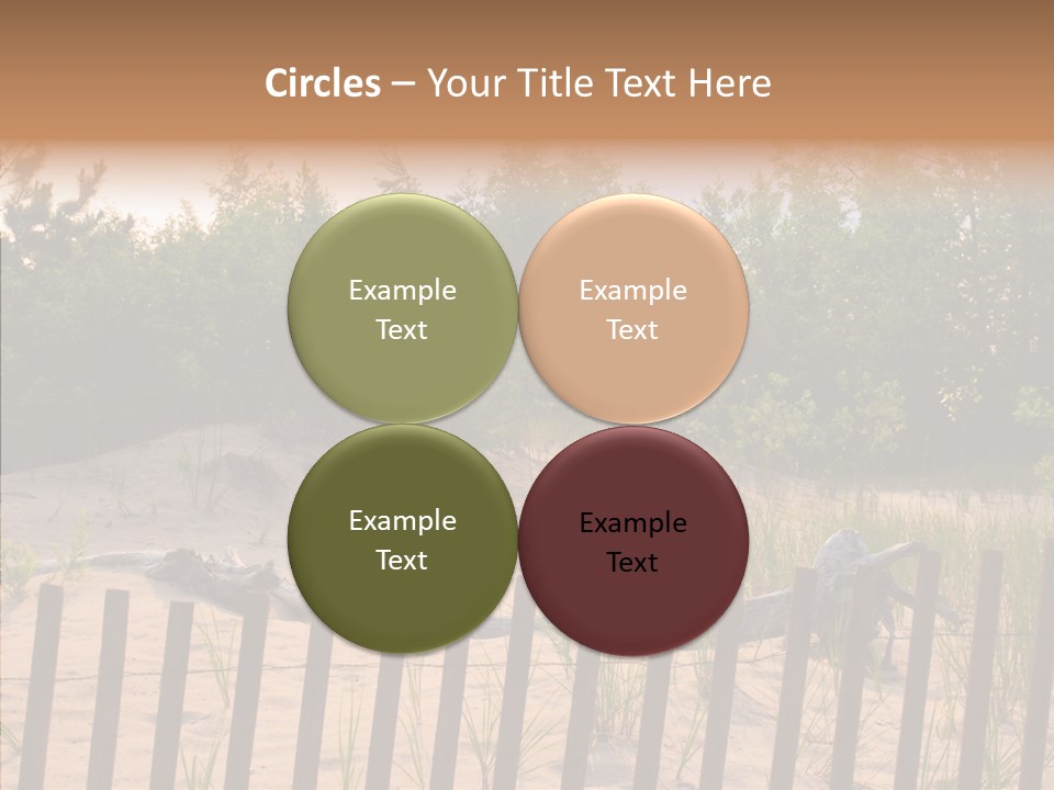 Lauderdale Tanning Beachwalk PowerPoint Template