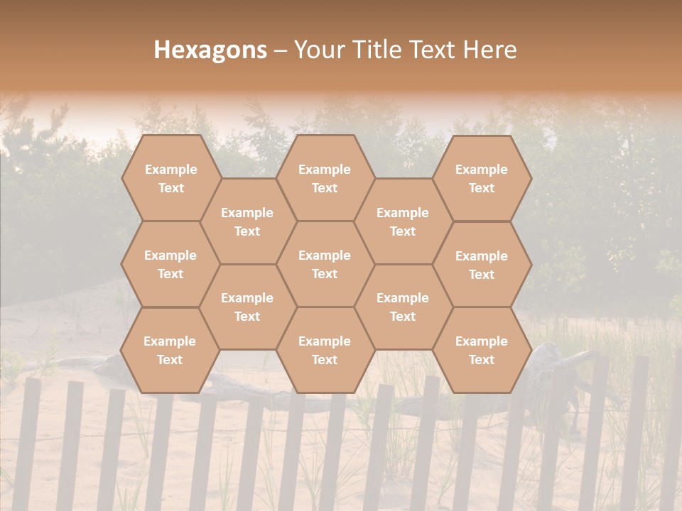 Lauderdale Tanning Beachwalk PowerPoint Template