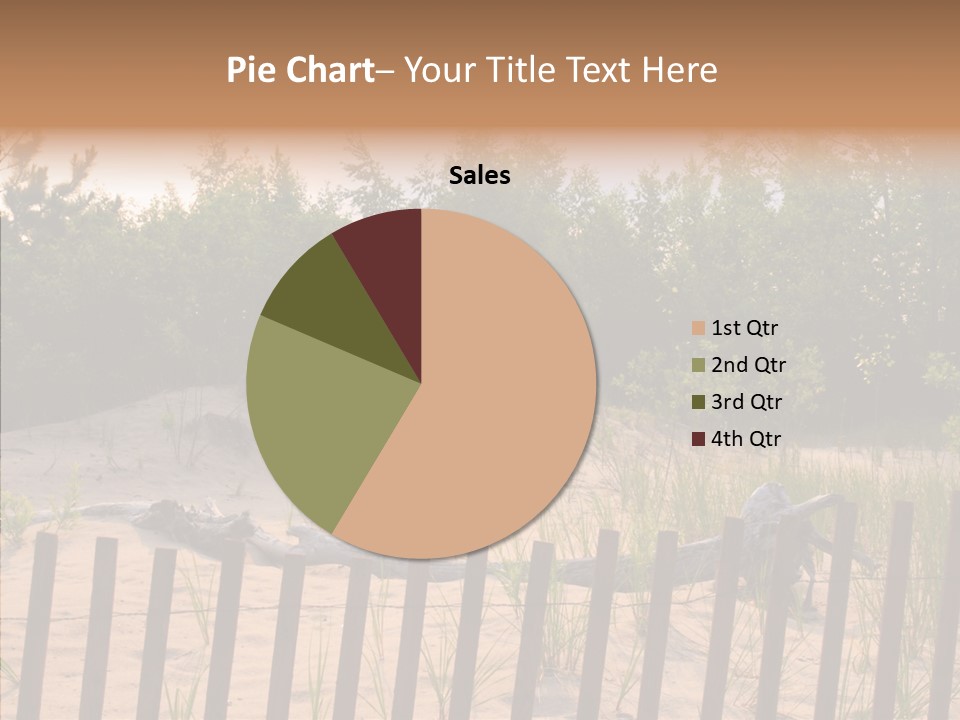 Lauderdale Tanning Beachwalk PowerPoint Template