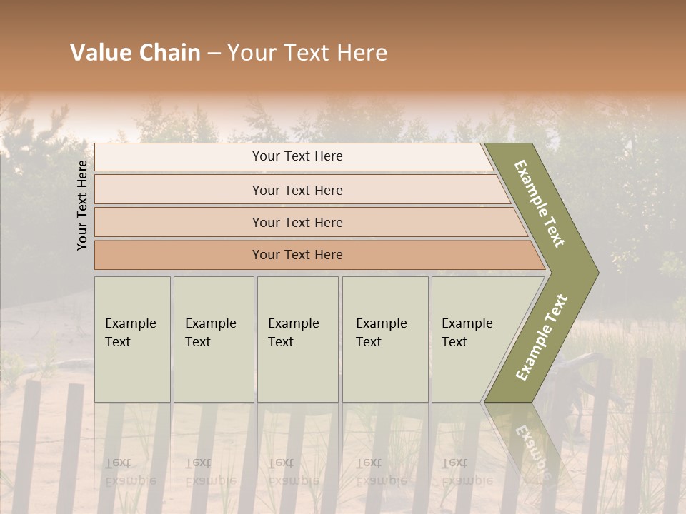 Lauderdale Tanning Beachwalk PowerPoint Template