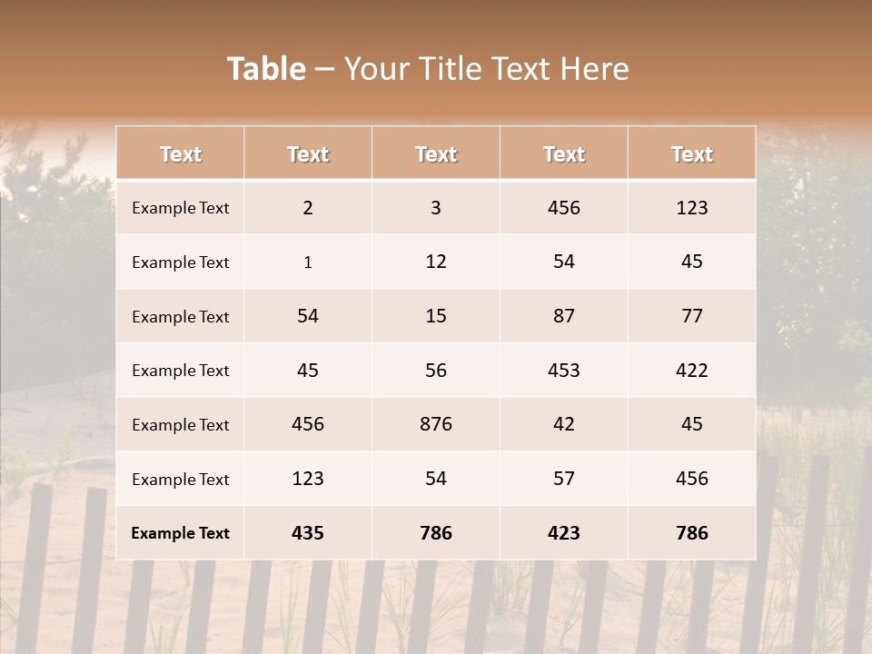 Lauderdale Tanning Beachwalk PowerPoint Template