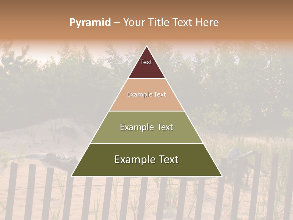 Lauderdale Tanning Beachwalk PowerPoint Template