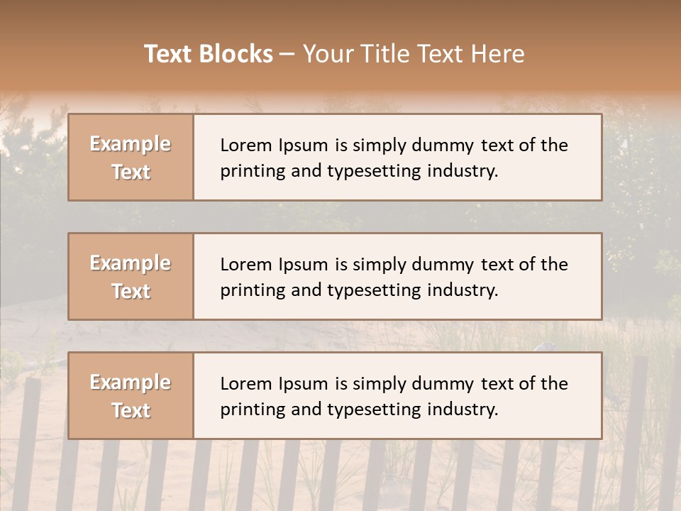 Lauderdale Tanning Beachwalk PowerPoint Template