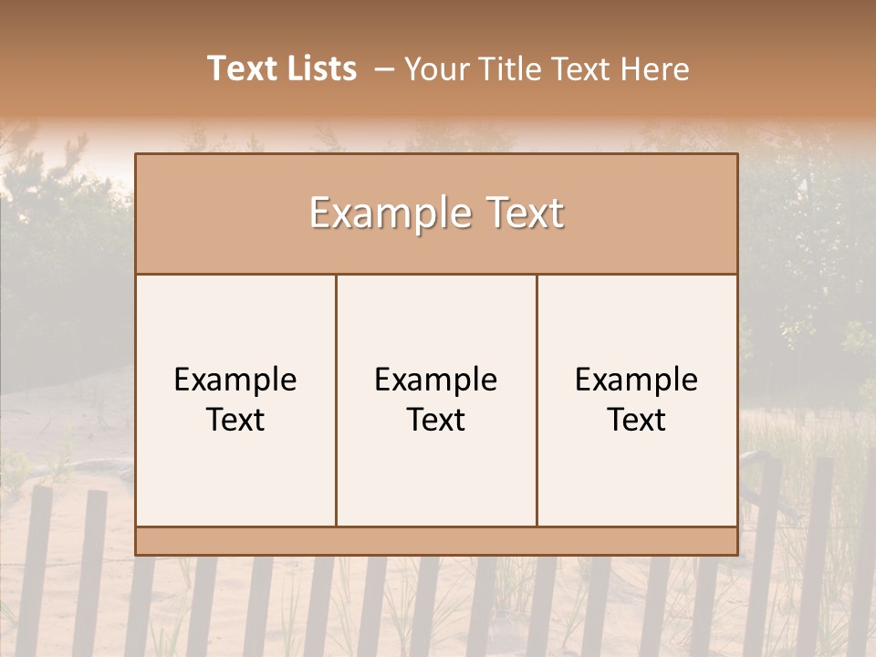 Lauderdale Tanning Beachwalk PowerPoint Template