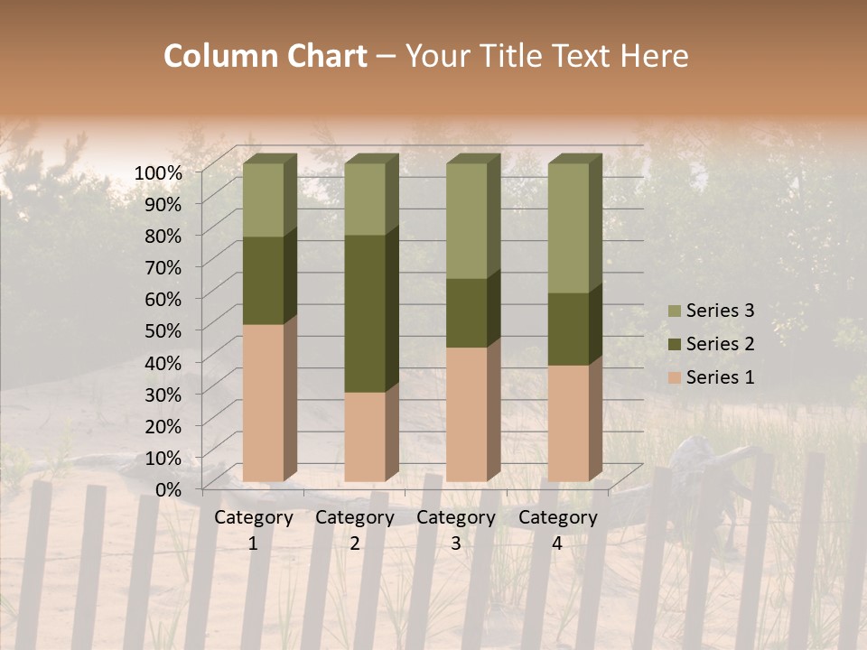 Lauderdale Tanning Beachwalk PowerPoint Template