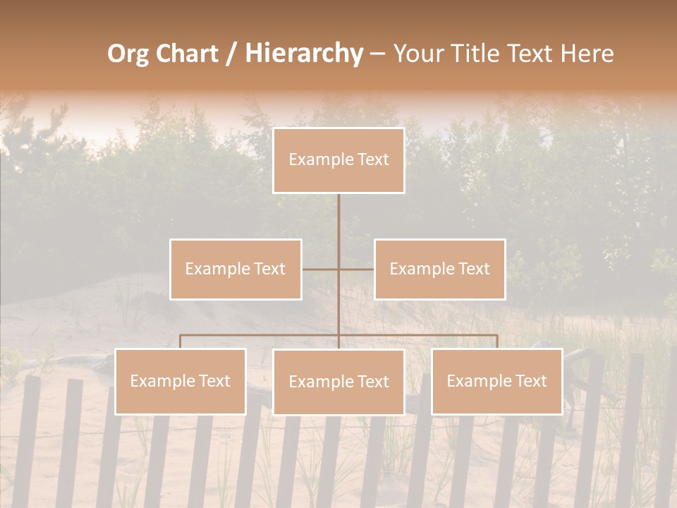 Lauderdale Tanning Beachwalk PowerPoint Template