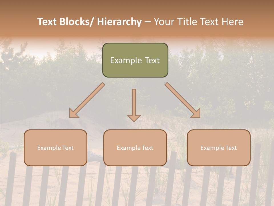 Lauderdale Tanning Beachwalk PowerPoint Template