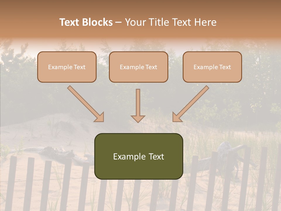 Lauderdale Tanning Beachwalk PowerPoint Template