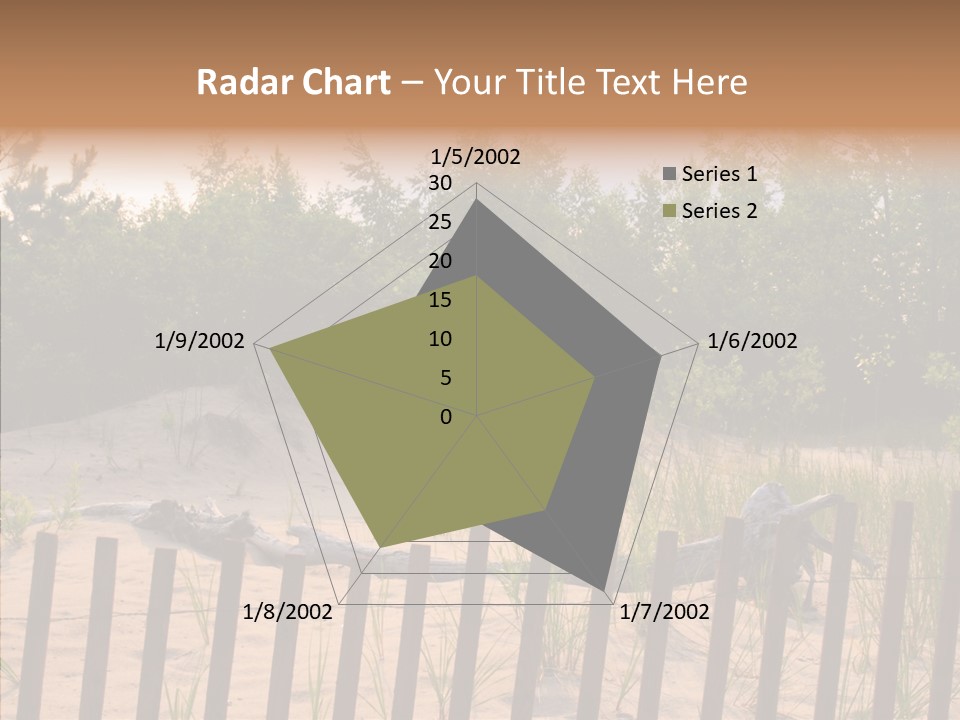 Lauderdale Tanning Beachwalk PowerPoint Template