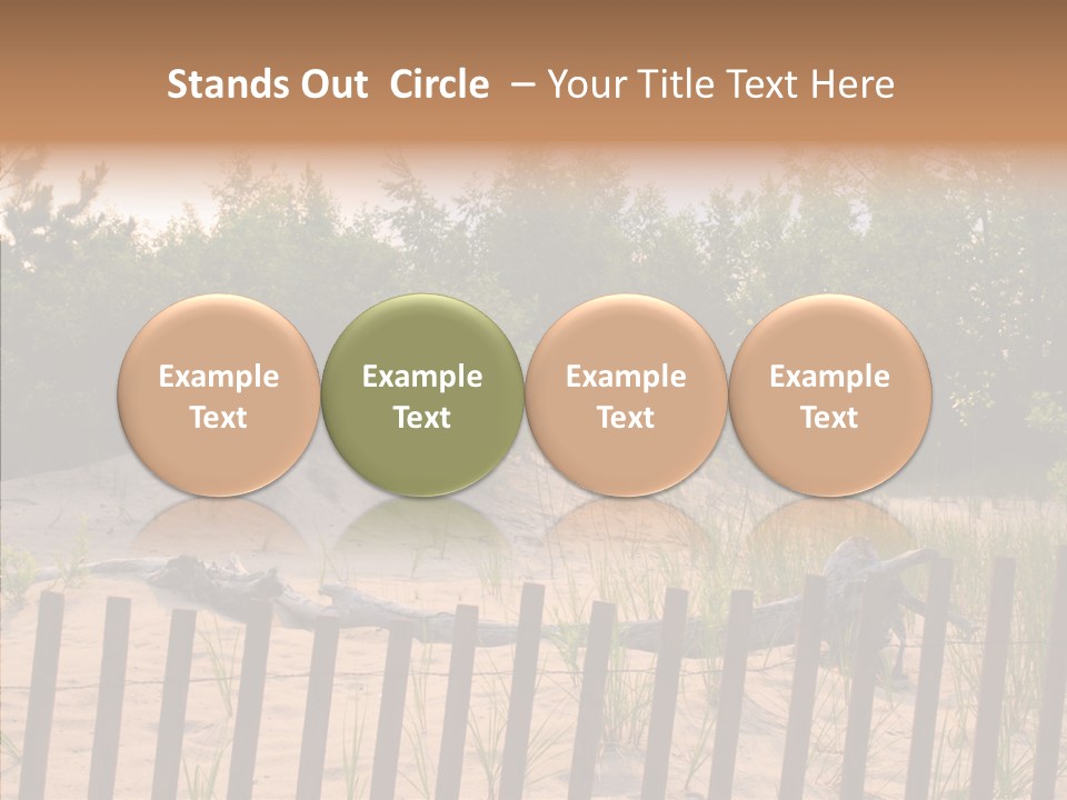 Lauderdale Tanning Beachwalk PowerPoint Template