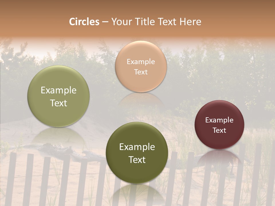 Lauderdale Tanning Beachwalk PowerPoint Template