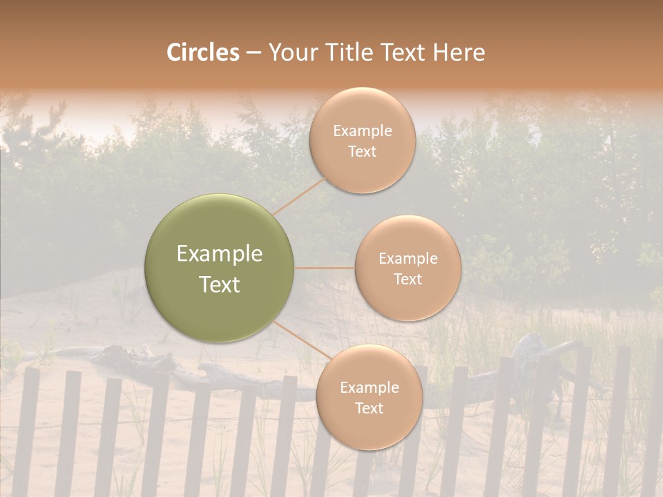 Lauderdale Tanning Beachwalk PowerPoint Template