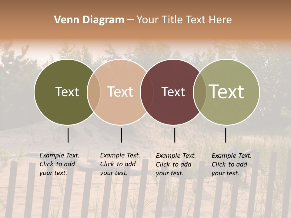 Lauderdale Tanning Beachwalk PowerPoint Template