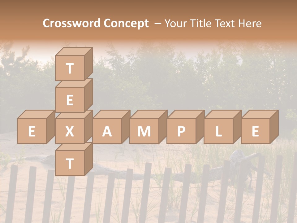 Lauderdale Tanning Beachwalk PowerPoint Template