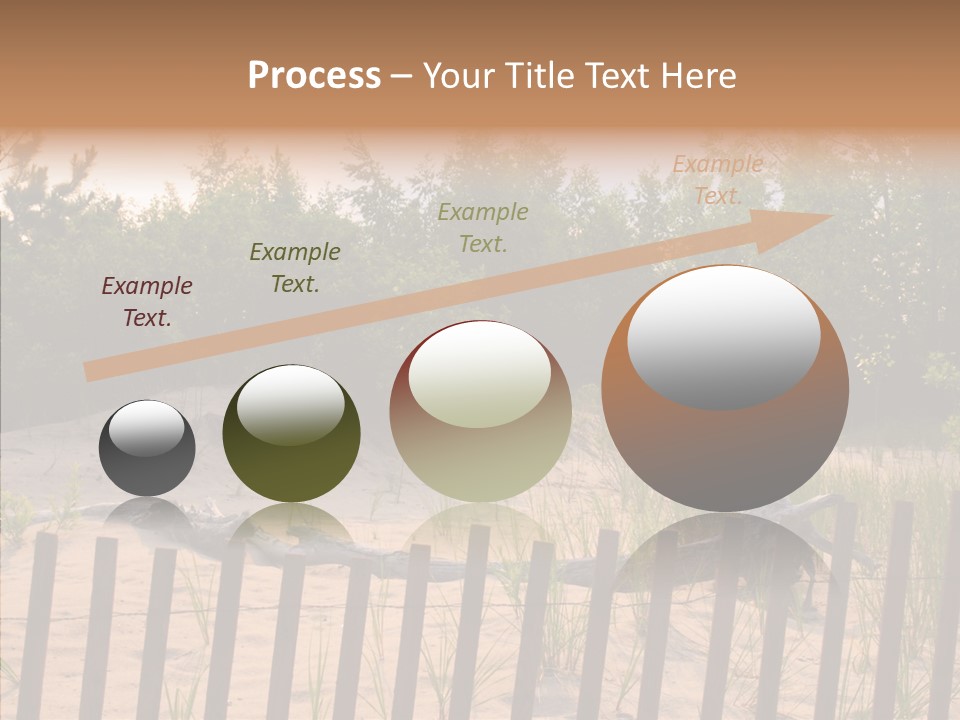 Lauderdale Tanning Beachwalk PowerPoint Template