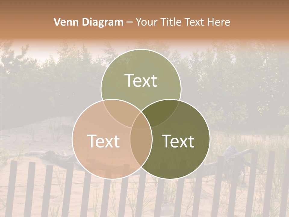 Lauderdale Tanning Beachwalk PowerPoint Template