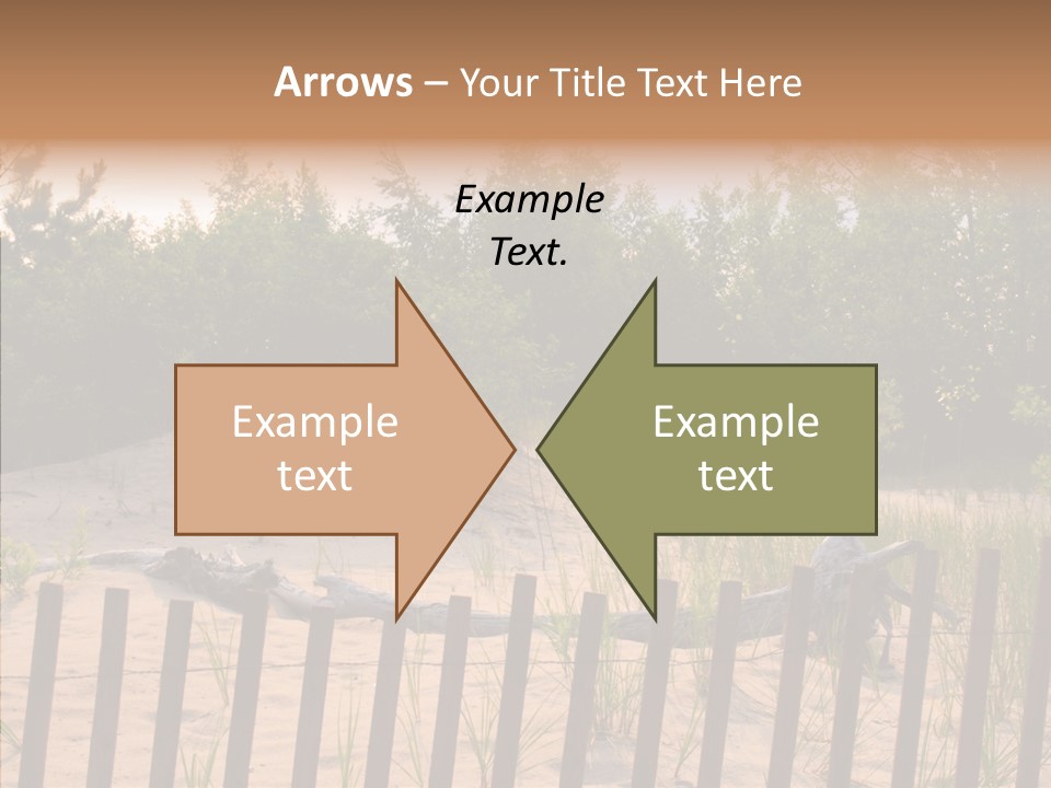 Lauderdale Tanning Beachwalk PowerPoint Template