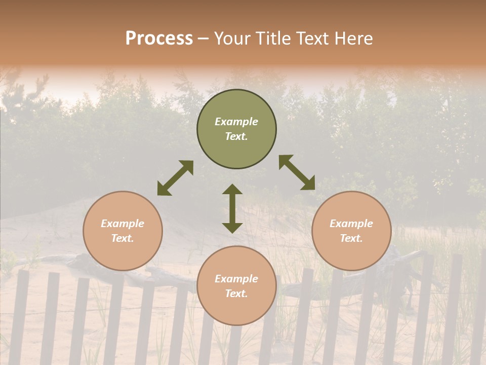 Lauderdale Tanning Beachwalk PowerPoint Template