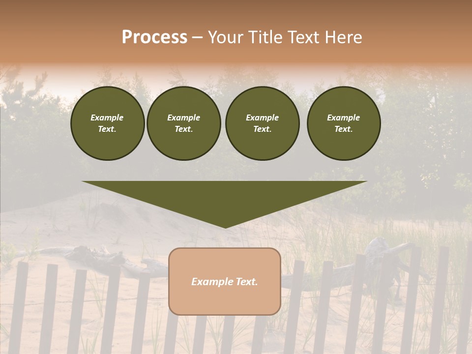 Lauderdale Tanning Beachwalk PowerPoint Template