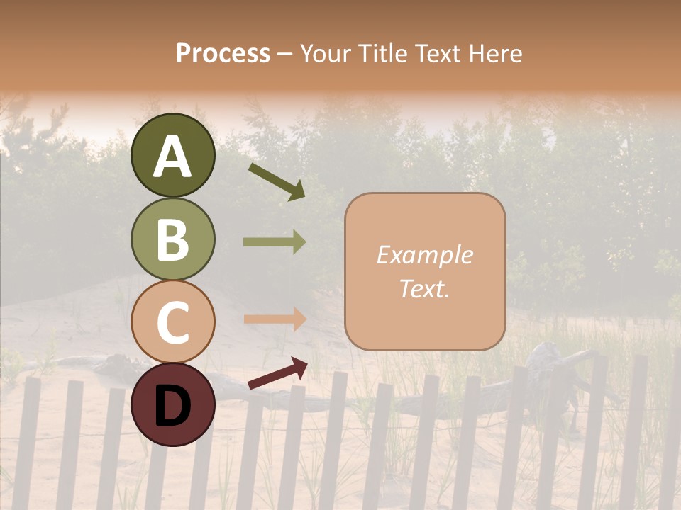 Lauderdale Tanning Beachwalk PowerPoint Template
